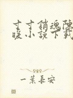 寸寸销魂陈聪王暖小说下载