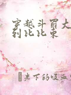 穿越斗罗大陆推到比比东