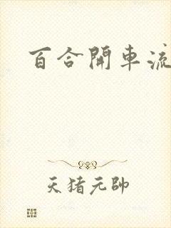 百合开车流污水