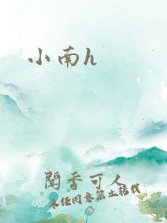 小南h