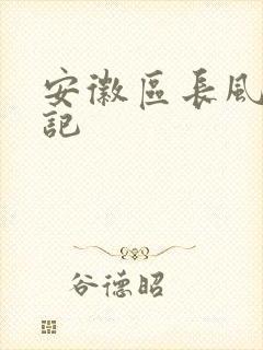 安徽区长风流日记
