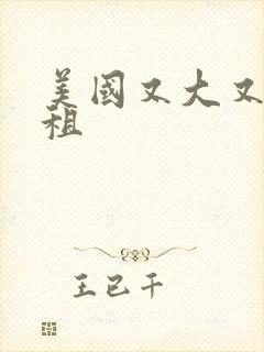 美国又大又长又租