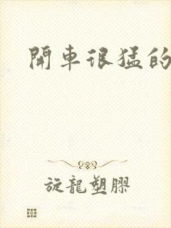 开车很猛的古文