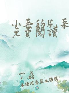 小兵的风采小说免费阅读