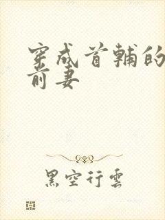 穿成首辅的炮灰前妻