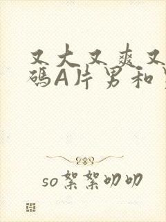 又大又爽又黄无码A片男和男