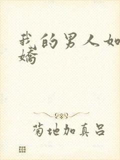 我的男人如此多娇