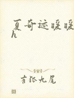 夏奇迹暖暖快穿h