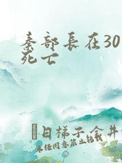 秦部长在301死亡