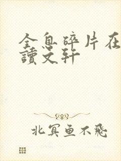 全息碎片在线阅读文轩