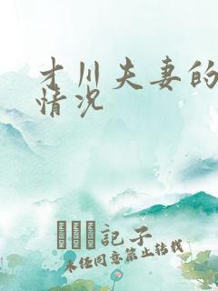 才川夫妻的恋爱情况