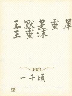 王默是灵犀阁公主灵沫