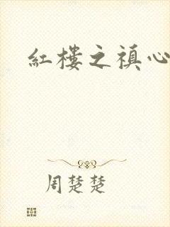 红楼之禛心锁玉