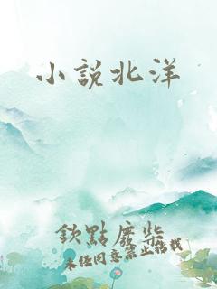 小说北洋