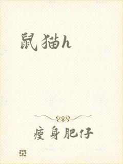 鼠猫h
