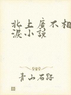 北上广不相信眼泪小说