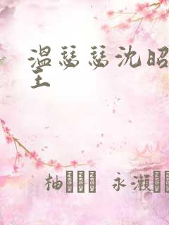 温瑟瑟沈昭摄政王