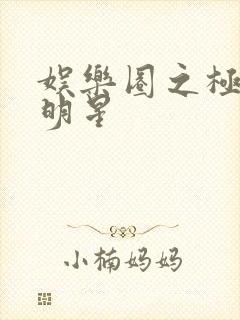 娱乐圈之极品大明星