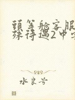 头等舱客服的特殊待遇2中字