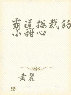 霸道总裁的宠爱小甜心