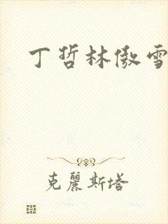 丁哲林傲雪小说