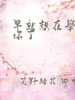 早就想在学校要你了