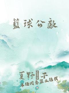 篮球公敌