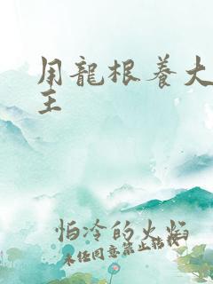 用龙根养大的公主