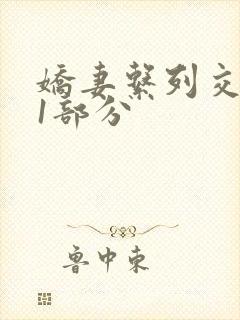 娇妻系列交换11部分