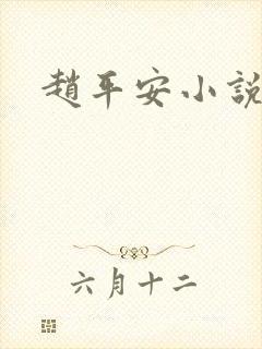 赵平安小说主角