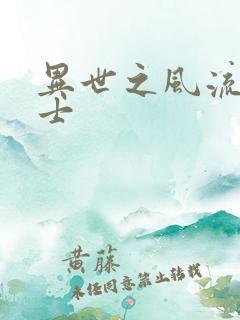 异世之风流魔战士