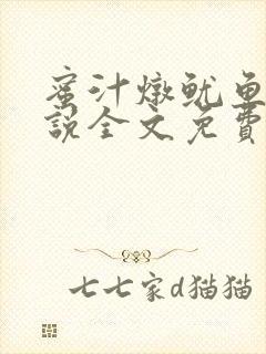 蜜汁炖鱿鱼2小说全文免费阅读