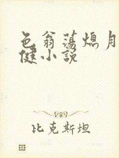 色翁荡熄月月健健小说