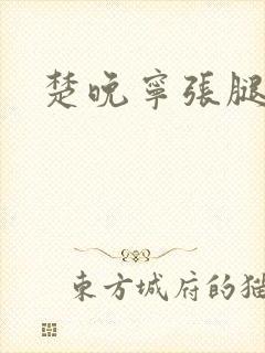 楚晚宁张腿放棋