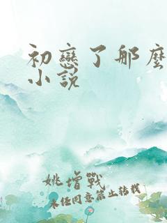 初恋了那么多年小说