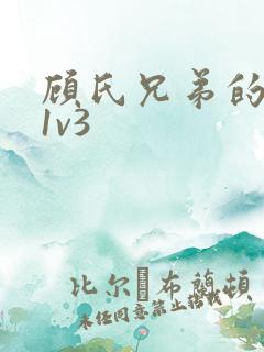 顾氏兄弟的南宁1v3