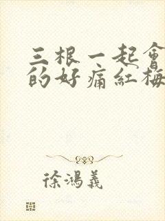 三根一起会坏掉的好痛红梅