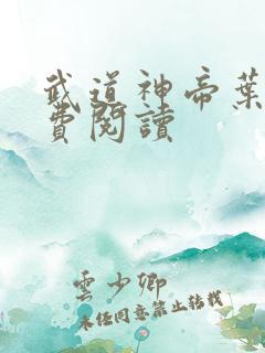 武道神帝叶辰免费阅读