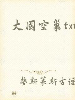 大国空巢txt