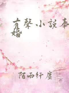 有声小说奉子成婚