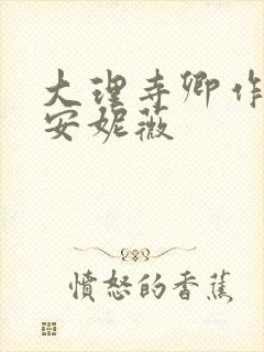 大理寺卿作者:安妮薇