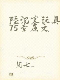 陆沉塞玩具高速75章原文