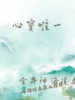 心宝唯一
