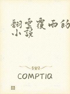 翻云覆雨的秘密小说