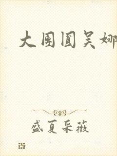 大团圆吴娜高敏