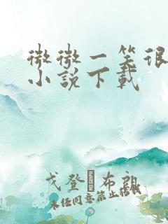 微微一笑很倾城小说下载