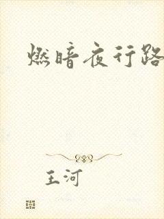 燃暗夜行路