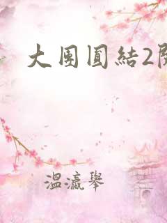 大团圆结2阅读