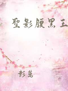 圣影腹黑王子帮