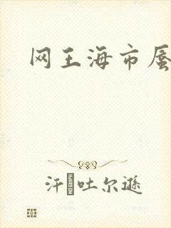 网王海市蜃楼
